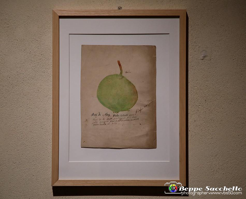 VBS_1400 - Castello di Miradolo - Mostra Oltre il giardino l'Abbecedario di paolo Pejrone.jpg